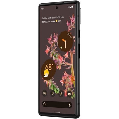 Смартфон Google Pixel 6 8/256 ГБ JP, stormy black - фото 28681