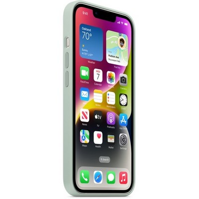 Чехол Apple iPhone 14 Silicone MagSafe - Succulent - фото 32553