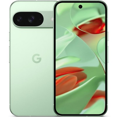 Смартфон Google Pixel 9 12/256 Гб, Dual: nano SIM + eSIM Wintergreen - фото 45978