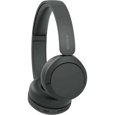 Беспроводные наушники Sony WH-CH520 Black - фото 56082