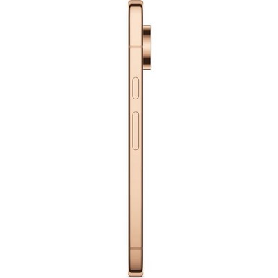 Смартфон Pixel 11 Pro 16/1TB Canyon - фото 61020