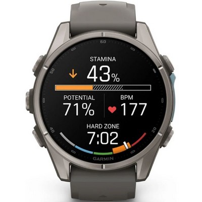 Умные часы Garmin Fenix 9 43mm Amoled Sapphire Titanium with Pebble Gray Silicone Band (010-04761-11) - фото 61200