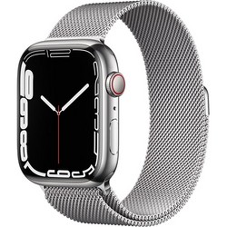 Умные часы Apple Watch Series 7 GPS + Cellular, 45mm Silver Stainless Steel Case with Silver Milanese Loop ML783