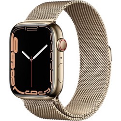 Умные часы Apple Watch Series 7 GPS + Cellular, 45mm Gold Stainless Steel Case with Gold Milanese Loop ML763