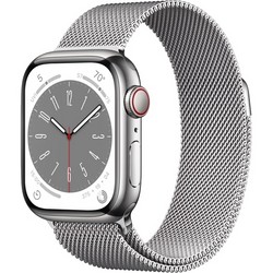 Умные часы Apple Watch Series 8, 41 мм, корпус из нержавеющей стали, миланский сетчатый браслет, серебро ML753