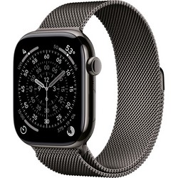 Умные часы Apple Watch Series 11, 46 mm, S-M/M-L Slate Titanium Milanese Loop