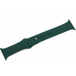 Ремешок спортивный COTECi W3 Sport Band (CS2085-DG) для Apple Watch 40мм/ 38мм Темно-зеленый