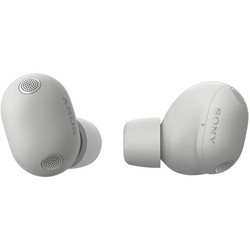 Наушники Sony WF-1000XM6 Platinum Silver