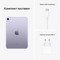 Планшет Apple iPad mini (2021) 256Gb Wi-Fi + Cellular, фиолетовый - фото 21573