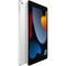 Планшет Apple iPad (2021) 64Gb Wi-Fi + Cellular, серебристый - фото 21610