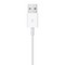 Кабель Apple Watch Magnetic Charging Cable (1 м) - фото 27499