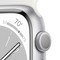 Умные часы Apple Watch Series 8, 45 мм, корпус из алюминия серебристого цвета MP6N3 - фото 29320