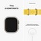 Умные часы Apple Watch Ultra GPS + Cellular, 49 мм, корпус из титана, ремешок Ocean Band желтого цвета MNH93 - фото 29458