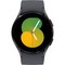 Умные часы Samsung Galaxy Watch5 40 мм Wi-Fi NFC, Графит - фото 29574