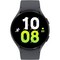 Умные часы Samsung Galaxy Watch5 44 мм Wi-Fi NFC, Графит - фото 29598