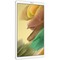 Планшет Samsung Galaxy Tab A7 Lite 32 ГБ WiFi, Серебро - фото 31311