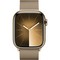 Умные часы Apple Watch Series 9, 41 мм, корпус из нержавеющей стали, миланский сетчатый браслет, золото - фото 35268