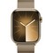 Умные часы Apple Watch Series 9, 45 мм, корпус из нержавеющей стали, миланский сетчатый браслет, золото - фото 35277