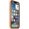 Чехол Apple iPhone 15 Pro Silicone Case with MagSafe - Orange Sorbet - фото 35540