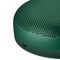 Портативная акустика Bang & Olufsen Beosound A1 2nd Gen, Green - фото 41775