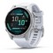 Умные часы Garmin Fenix 8 43mm Amoled Silver 010-02903-00 - фото 42067