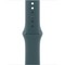 Умные часы Apple Watch Series 10 GPS 42mm Rose Gold Aluminum Lake Green Sport Band - фото 42669