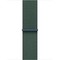 Умные часы Apple Watch SE 2024 GPS 40mm Starlight Aluminium Lake Green Sport Loop - фото 43552