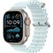 Умные часы Apple Watch Ultra 2 (2024) GPS + Cellular 49mm Natural Ocean Band Ice Blue - фото 42844