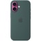 Чехол Apple iPhone 16 Silicone Case with MagSafe – Lake Green - фото 42945