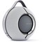 Акустическая система Devialet Mania Light Grey - фото 43939