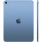 Планшет Apple iPad 11” (2025) 256 ГБ Wi-Fi + Cellular, синий - фото 47331