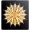 Смартфон Honor V2 16/256 Гб, Полночный черный (экокожа) - фото 48108