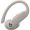 Беспроводные наушники Beats Powerbeats Pro 2 Quick Sand - фото 49427