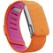 Спортивный ремешок Whoop Sportflex MG Burst - фото 51038