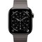 Умные часы Apple Watch Series 11, 42 mm, Slate Titanium Link Bracelet - фото 52102