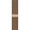 Умные часы Apple Watch Series 11, 46 mm, S-M/M-L Gold Titanium Milanese Loop - фото 52109