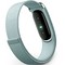 Фитнес-браслет Google Fitbit Air Fog - фото 58372