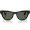 Умные очки Ray-Ban Skyler (Gen2) RW4014 Shiny Black/G15 Green lenses Size M (52mm) - фото 58470