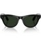 Умные очки Ray-Ban Skyler (Gen2) RW4014 Shiny Black/ Transitions Graphite Green lenses Size M (52mm) - фото 58477