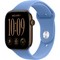 Умные часы Apple Watch Series 12 46mm GPS Dark Bronze Aluminum Case with Wildflower Blue Sport Band SM/ML - фото 60757