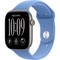 Умные часы Apple Watch Series 12 46mm GPS Space Gray Aluminum Case with Wildflower Blue Sport Band SM/ML - фото 60831