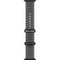 Умные часы Apple Watch Ultra 4 49mm GPS + Cellular Black Titanium Case with Translucent Black Ocean Band - фото 60894