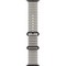 Умные часы Apple Watch Ultra 4 49mm GPS + Cellular Black Titanium Case with Translucent Gray Ocean Band - фото 60900