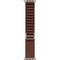 Умные часы Apple Watch Ultra 4 49mm GPS + Cellular Natural Titanium Case with Burgundy Alpine Loop S/M/L - фото 60909