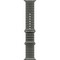 Умные часы Apple Watch Ultra 4 49mm GPS + Cellular Natural Titanium Case with Translucent Natural Ocean Band - фото 60924