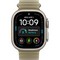 Умные часы Apple Watch Ultra 4 49mm GPS + Cellular Natural Titanium Case with Translucent Kelp Ocean Band - фото 60926
