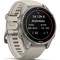 Умные часы Garmin Fenix 9 43mm Amoled Sapphire Titanium with Fog Gray Silicone Band (010-04761-01) - фото 61402