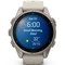 Умные часы Garmin Fenix 9 43mm Amoled Sapphire Titanium with Fog Gray Silicone Band (010-04761-01) - фото 61405