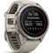 Умные часы Garmin Fenix 9 Pro 43mm Amoled Sapphire Titanium with Fog Gray/Dark Sandstone Silicone Band (010-04335-86) - фото 61247