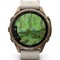 Умные часы Garmin Fenix 9 Pro inReach 43mm Amoled Sapphire Autumn Gold Titanium with Bone Leather Band (010-04335-41) - фото 61305